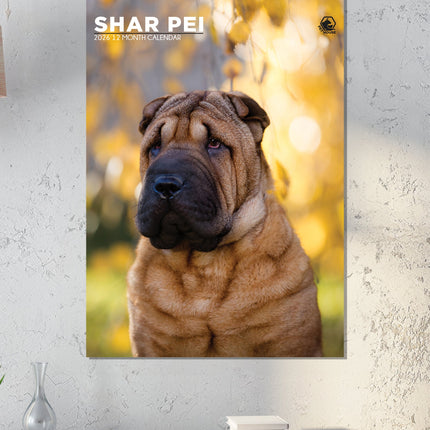 CalendarsRUs Shar Pei A3 Kalender 2026