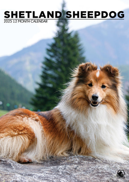 CalendarsRUs Shetland Sheepdog A3 Kalender 2025