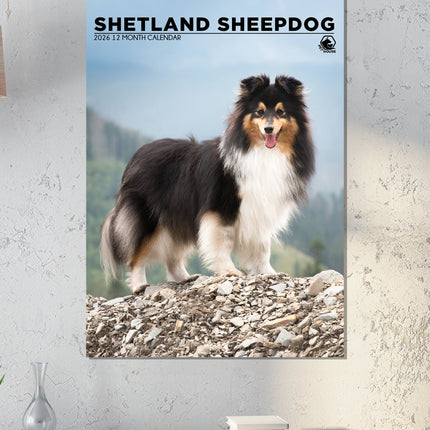 CalendarsRUs Shetland Sheepdog A3 Kalender 2026