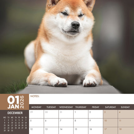 CalendarsRUs Shiba Inu A3 Kalender 2026