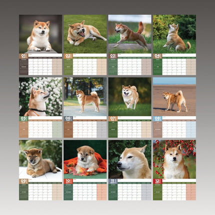 CalendarsRUs Shiba Inu A3 Kalender 2026