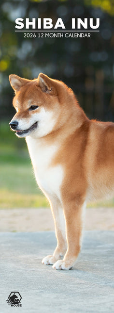 CalendarsRUs Shiba Inu Slimline Kalender 2026