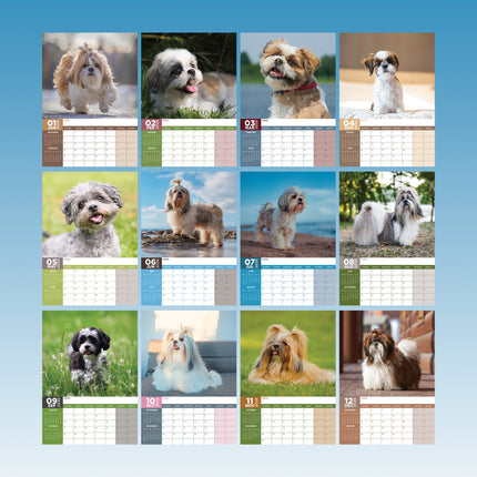 CalendarsRUs Shih Tzu A3 Kalender 2026