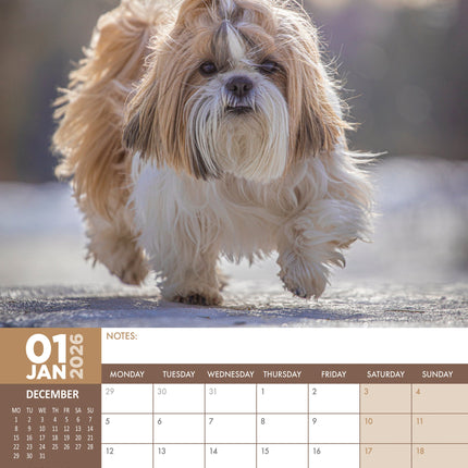 CalendarsRUs Shih Tzu A3 Kalender 2026