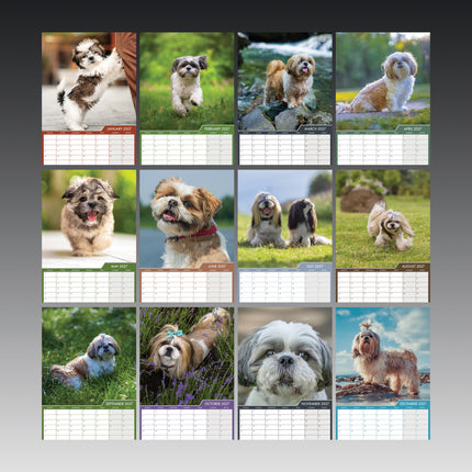 CalendarsRUs Shih Tzu A3 Kalender 2027