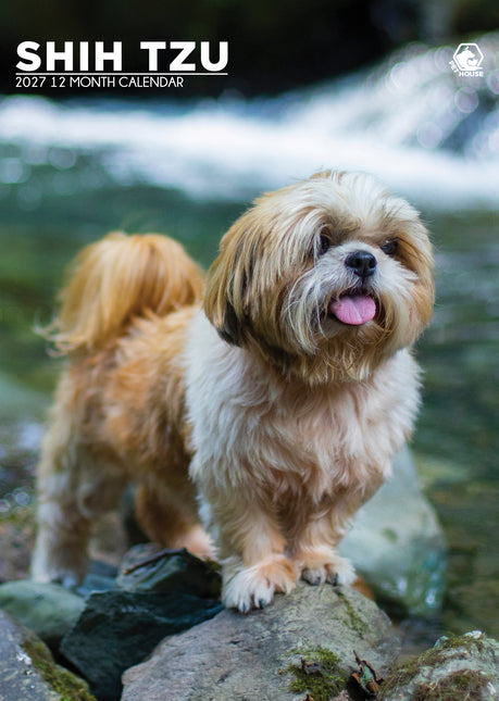 CalendarsRUs Shih Tzu A3 Kalender 2027