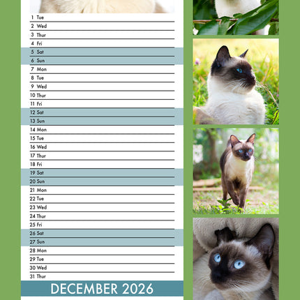 CalendarsRUs Siamees Slimline Kalender 2026