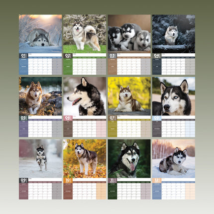 CalendarsRUs Siberian Husky A3 Kalender 2026