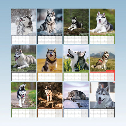 CalendarsRUs Siberian Husky A3 Kalender 2027