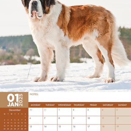 CalendarsRUs Sint Bernard A3 Kalender 2025