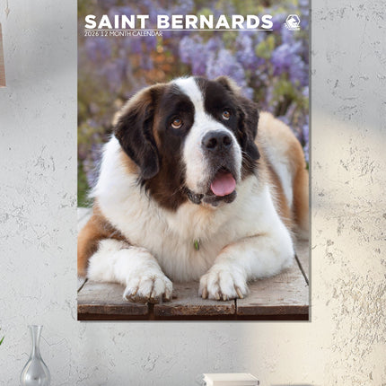CalendarsRUs Sint Bernard A3 Kalender 2026
