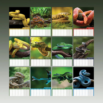 CalendarsRUs Slangen A3 Kalender 2027
