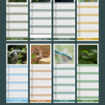 CalendarsRUs Slangen Slimline Kalender 2026