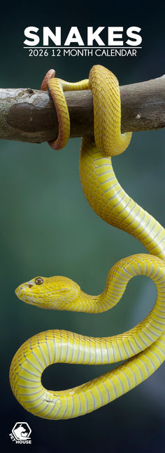 CalendarsRUs Slangen Slimline Kalender 2026