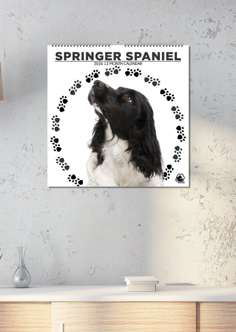 CalendarsRUs Springer Spaniel Kalender 2026