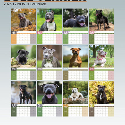 CalendarsRUs Staffordshire Bull Terrier A3 Kalender 2026