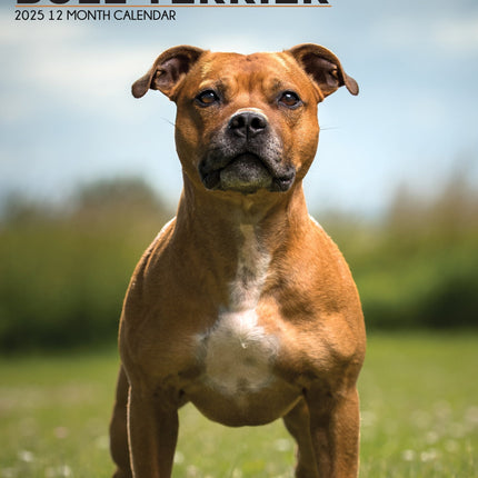 CalendarsRUs Staffordshire Bull Terrier A3 Kalender 2026
