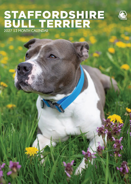 CalendarsRUs Staffordshire Bull Terrier A3 Kalender 2027