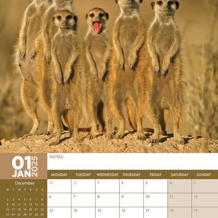CalendarsRUs Stokstaartjes A3 Kalender 2025