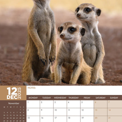 CalendarsRUs Stokstaartjes A3 Kalender 2025