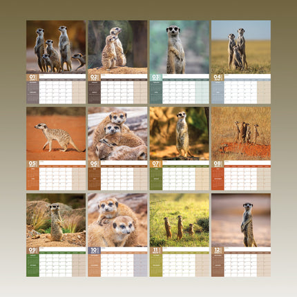 CalendarsRUs Stokstaartjes A3 Kalender 2026
