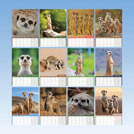 CalendarsRUs Stokstaartjes A3 Kalender 2027