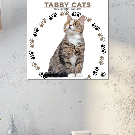 CalendarsRUs Tabby Katten Kalender 2026