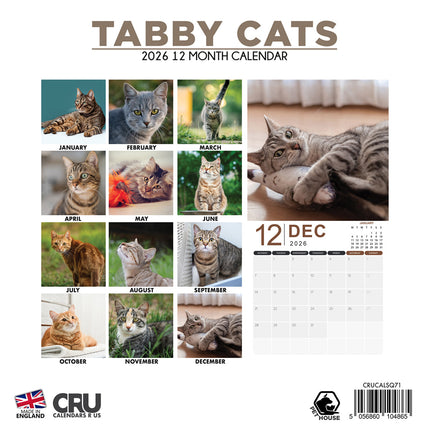 CalendarsRUs Tabby Katten Kalender 2026