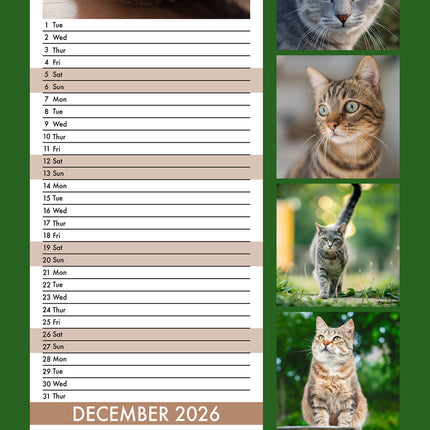 CalendarsRUs Tabby Katten Slimline Kalender 2026