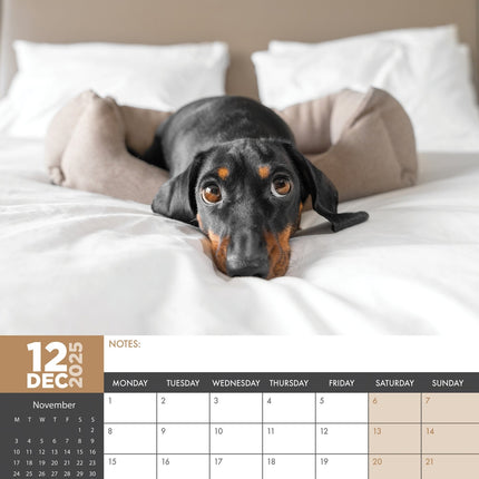 CalendarsRUs Teckel A3 Kalender 2025