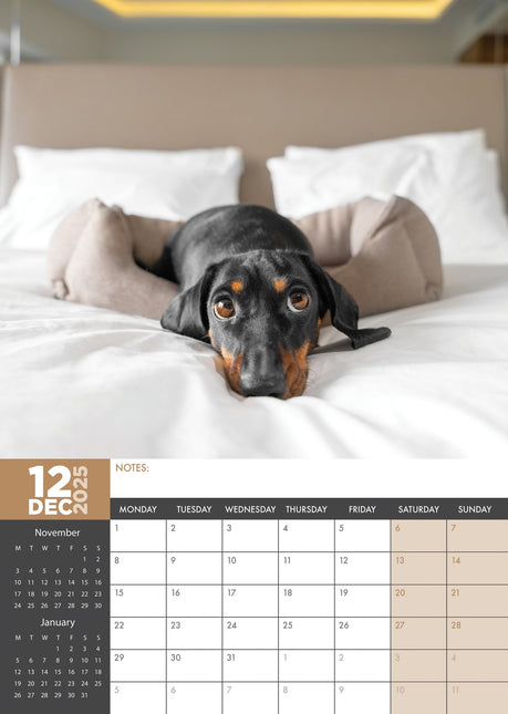 CalendarsRUs Teckel A3 Kalender 2025