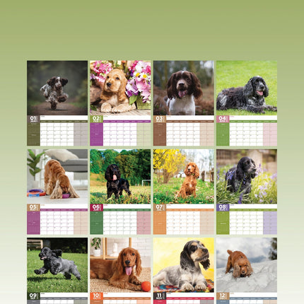 CalendarsRUs Teckel A3 Kalender 2025