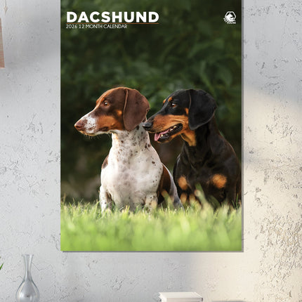 CalendarsRUs Teckel A3 Kalender 2027