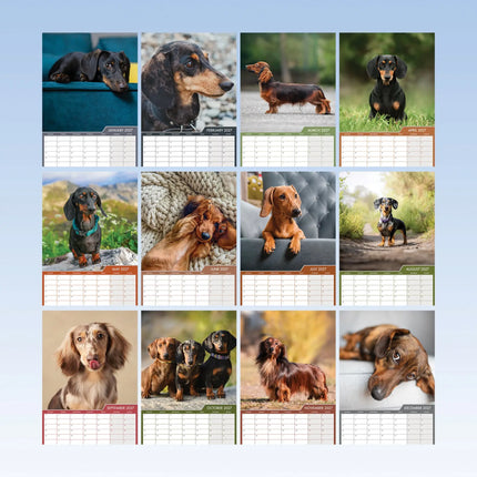 CalendarsRUs Teckel A3 Kalender 2027