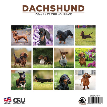 CalendarsRUs Teckel Kalender 2026