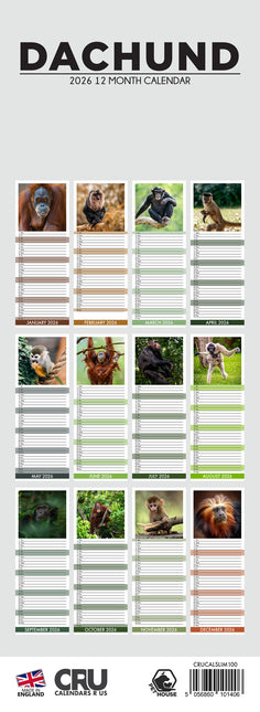 CalendarsRUs Teckel Slimline Kalender 2026