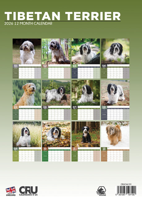 CalendarsRUs Tibetaanse Terrier A3 Kalender 2026