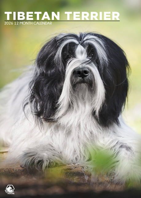 CalendarsRUs Tibetaanse Terrier A3 Kalender 2026