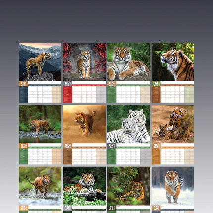 CalendarsRUs Tijger A3 Kalender 2025