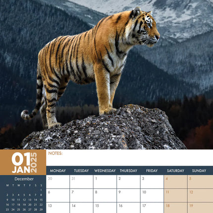 CalendarsRUs Tijger A3 Kalender 2025