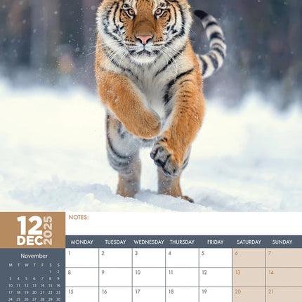 CalendarsRUs Tijger A3 Kalender 2025