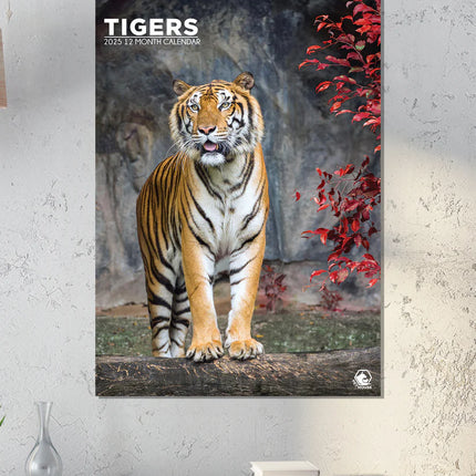 CalendarsRUs Tijger A3 Kalender 2025