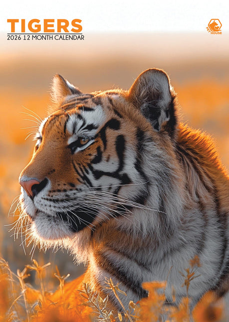 CalendarsRUs Tijger A3 Kalender 2026