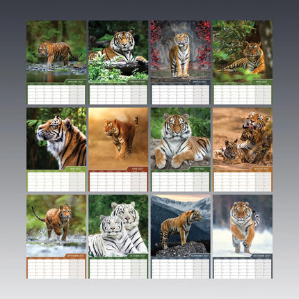CalendarsRUs Tijger A3 Kalender 2027