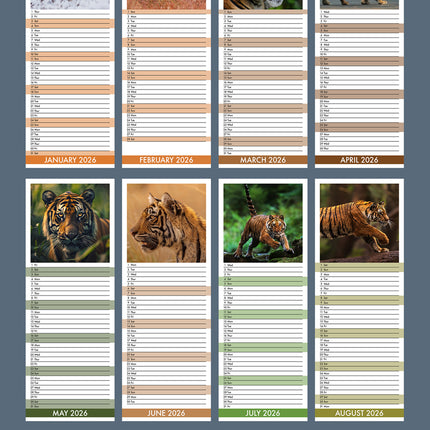 CalendarsRUs Tijger Slimline Kalender 2026