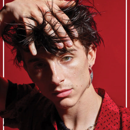 CalendarsRUs Timothee Chalamet A3 Kalender 2027