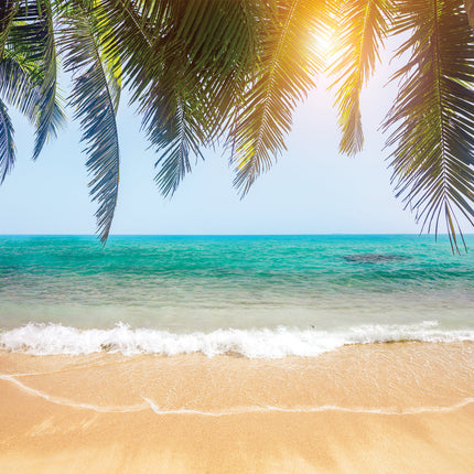 CalendarsRUs Tropical Islands Kalender 2026