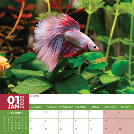 CalendarsRUs Tropische Vissen A3 Kalender 2026