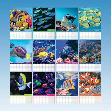 CalendarsRUs Tropische Vissen A3 Kalender 2027