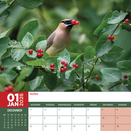 CalendarsRUs Tuinvogels A3 Kalender 2026